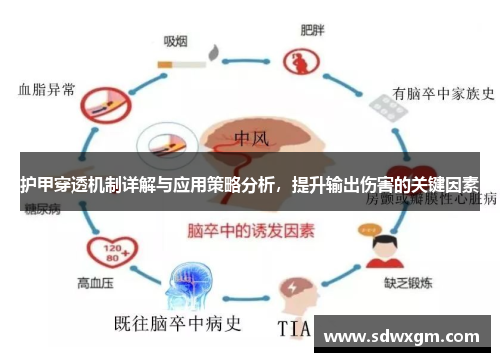 护甲穿透机制详解与应用策略分析，提升输出伤害的关键因素