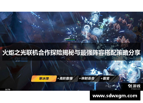 火炬之光联机合作探险揭秘与最强阵容搭配策略分享