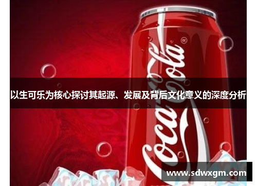 以生可乐为核心探讨其起源、发展及背后文化意义的深度分析