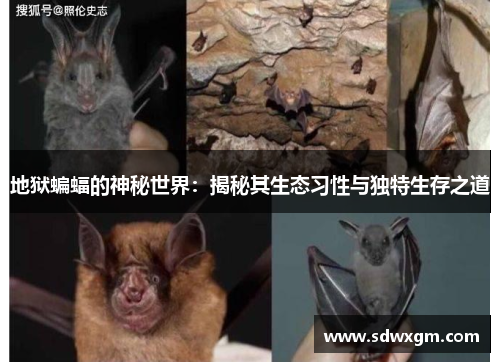 地狱蝙蝠的神秘世界：揭秘其生态习性与独特生存之道